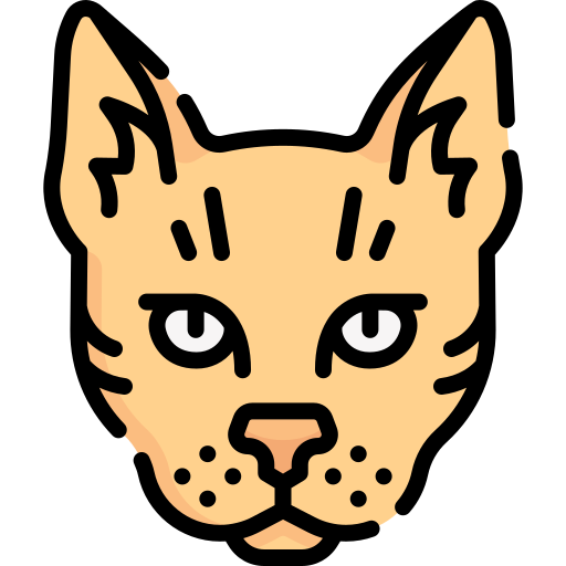 Cats & Kittens